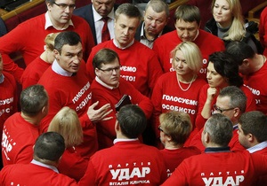 УДАР будет добиваться отмены закона о всеукраинском референдуме