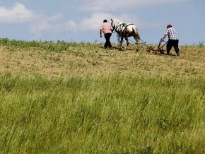Ученые: Земледелие и скотоводство в Европу принесли мигранты