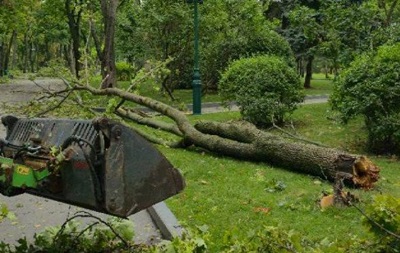 У Харкові вітер повалив майже 450 дерев - мер