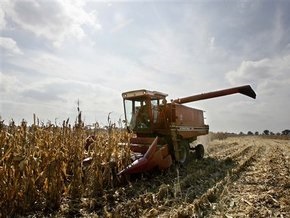 С начала года в Украине выросло производство сельхозпродукции