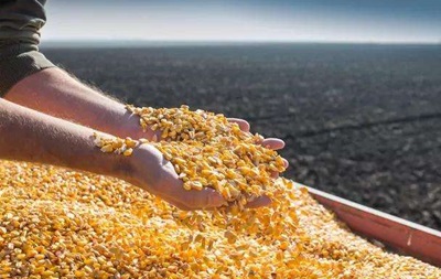 Украина увеличила экспорт агропродукции