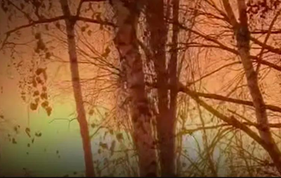 Поражены НПЗ в РФ и место хранения дронов в Крыму