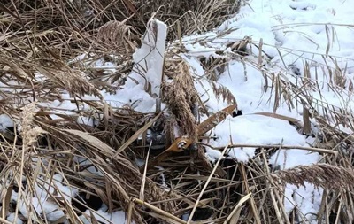 В Молдове охотник обнаружил российский дрон