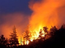 В Боржомском районе горят леса. Грузия обвиняет Россию