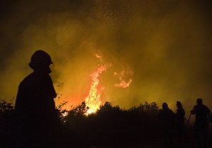 В Луганской области горят 4,5 гектара леса и сухой травы