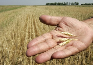 Урожай зерна в Украине превысил 57 млн тонн. За рубеж отправлено уже почти 7 млн тонн
