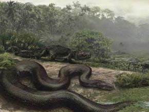 Найдены останки самой большой в мире змеи