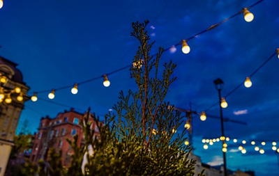 В Укрэнерго определились с отключениями во вторник