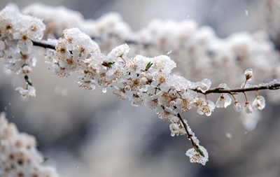Дожди, снег и заморозки: погода на понедельник