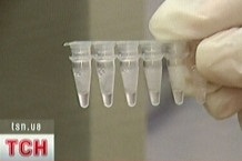 Украинские ученые создали отечественную тест-систему для диагностики свиного гриппа