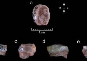 Новости науки - новости археологии: В Испании обнаружили древнейшие останки человека в Западной Европе