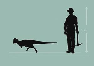 В США обнаружили новый вид динозавров размером с собаку