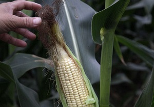 Накормить Поднебесную: Украина будет поставлять кукурузу в Китай - Ъ