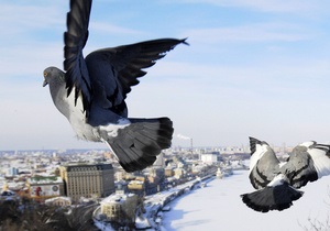 В Киеве за неубранный снег и сосульки инспекторы вручили 160 предупредительных предписаний