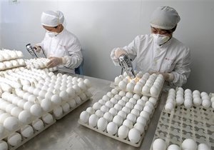 В Германии разразился скандал из-за диоксина в яйцах кур, которые питались украинской кукурузой