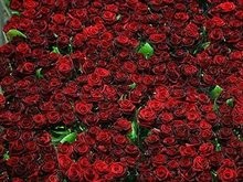 Суд обязал иранца вернуть жене 124 тысячи роз