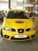 Система дополнительной противоугонной маркировки автомобиля «ДатаДот»