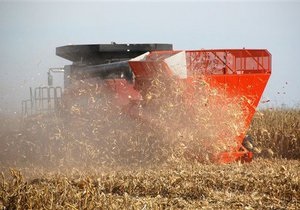 Правительство может отменить квоты на экспорт зерна в начале 2011 года