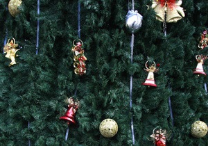 В Верховной Раде установили новогодние елки
