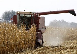Янукович потребовал, в случае необходимости, заменить квоты на экспорт зерна таможенными ограничениями