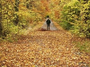 Прогноз погоды на понедельник, 7 сентября