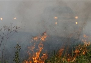 Пожары в России: в Волгоградской области зафиксировано восемь очагов возгорания