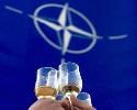 НАТО поддерживает Саакашвили