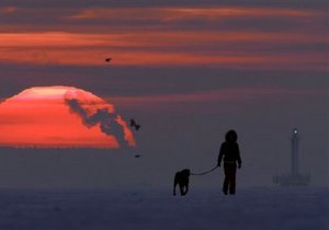 Россия  блокирует создание заповедников в Антарктике 