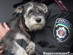 Прокурор: Киевская область стала одной из самых криминогенных в Украине