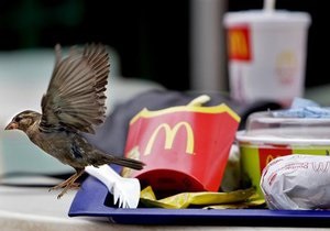 В Запорожье мужчина после семейной ссоры  заминировал  McDonald s