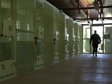 Сенат США раскрыл методы допросов в Гуантанамо