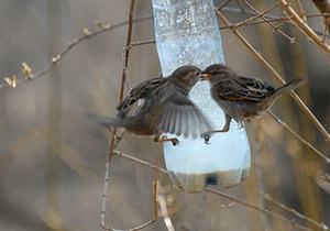 Прогноз погоды на четверг, 1 апреля