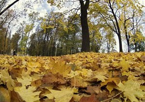 Прогноз погоды на вторник, 18 октября