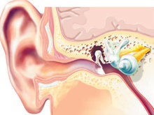Ученые создали электронное ухо для певцов