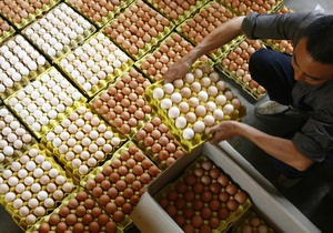 Крупный украинский производитель яиц  намерен привлечь до $31 миллиона в Варшаве