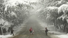 Снегопад в Грузии: 10 тыс. жителей остались без света