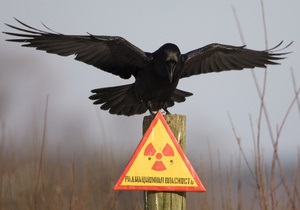 ЧАЭС - Чернобыль - Российские и белорусские специалисты заявили, что инцидент на ЧАЭС не вызвал опасных последствий