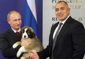 Братко, Перец, Плевако: россияне предлагают клички для нового питомца Путина