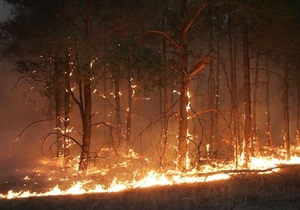 МВД: По уголовному делу о пожарах в Днепропетровской области проходят работники лесхоза