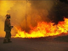 Жертвами огня в Австралии стали 96 человек (обновлено)
