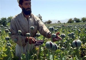 США отказались от программы уничтожения опийного мака в Афганистане