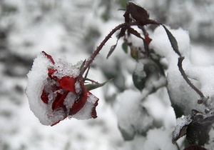Синоптики обещают снег во всех регионах Украины