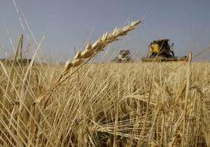 Азаров обещает не вводить ограничения на экспорт зерна до июня 2013 года