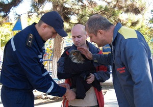 В Крыму спасатели спасли филина, у которого были подрезаны крылья и связаны лапы