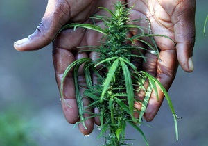 В ЮАР арестовали полицейских, укравших у женщины марихуану