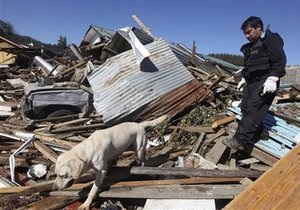 Список опознанных жертв землетрясения в Чили увеличился до 497 человек