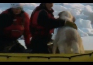 В США спасатели вытащили собаку из ледяной воды