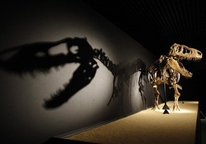 Ученые установили, как 200 млн лет назад динозавры стали доминировать на планете