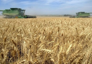 В Индии ожидают рекордный урожай пшеницы в 2013 году