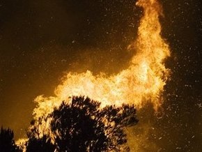 В Киеве горело 10 гектаров леса